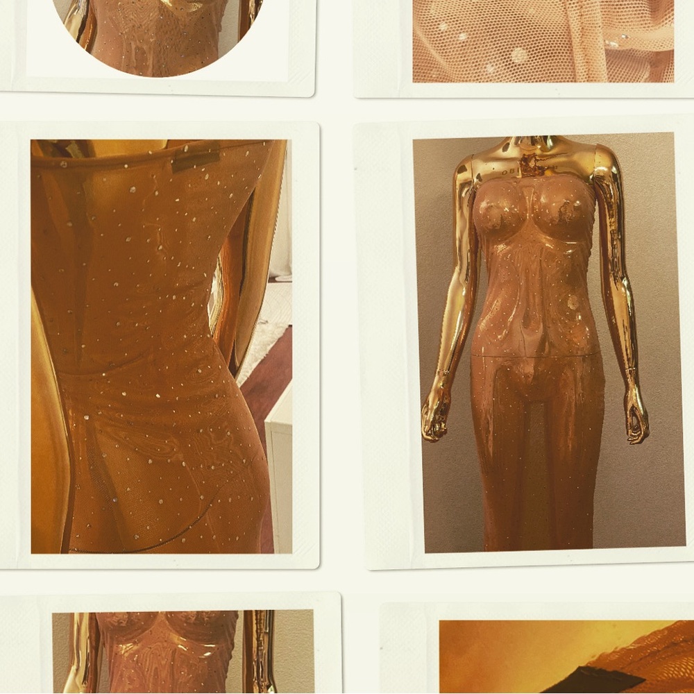 “Cher” Sheer See Through Ankle Length Dress